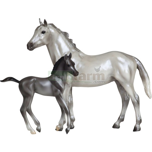 Grey Thoroughbred and Dark Grey Foal