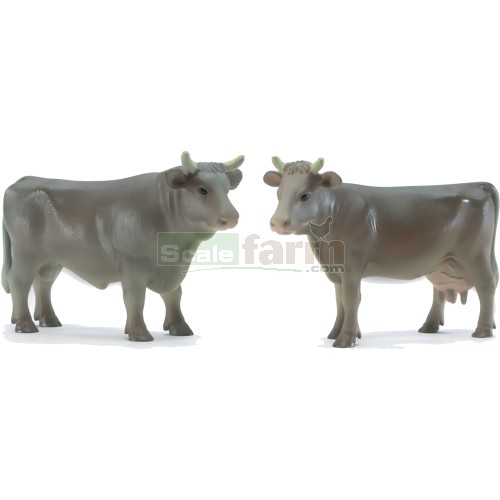 Pack of 2 Cows