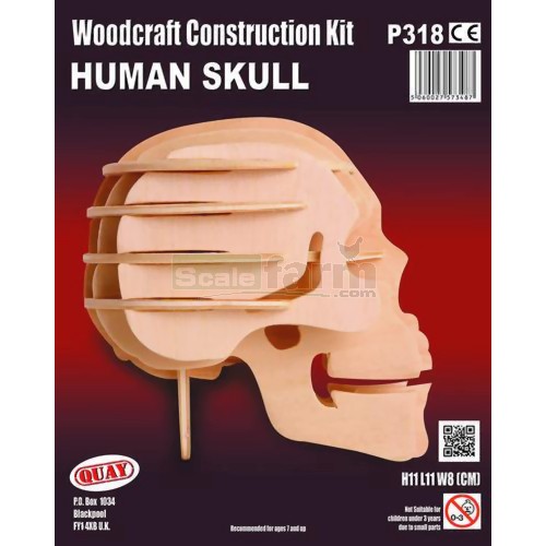 Human Skull Woodcraft Construction Kit