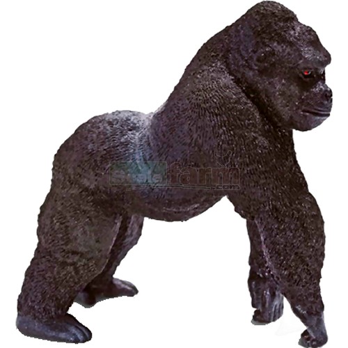 Gorilla, Male