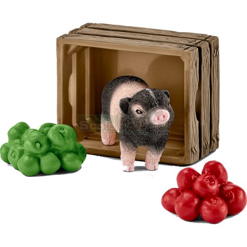 Mini Pig with Apples
