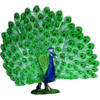 Preview Peacock