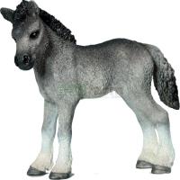 Preview Fell Pony Foal