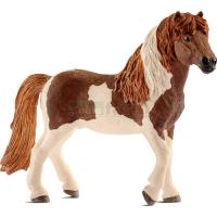 Preview Icelandic Pony Stallion