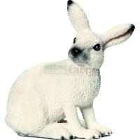 Preview White Hare