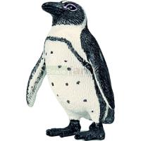 Preview African Penguin