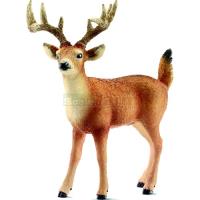 Preview White-tailed Buck