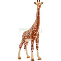 Preview Giraffe, Female