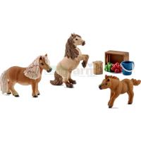 Preview Miniature Shetland Pony Family