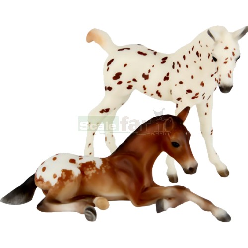 Appaloosa Foals (Set of Two) - Spirit of the Horse