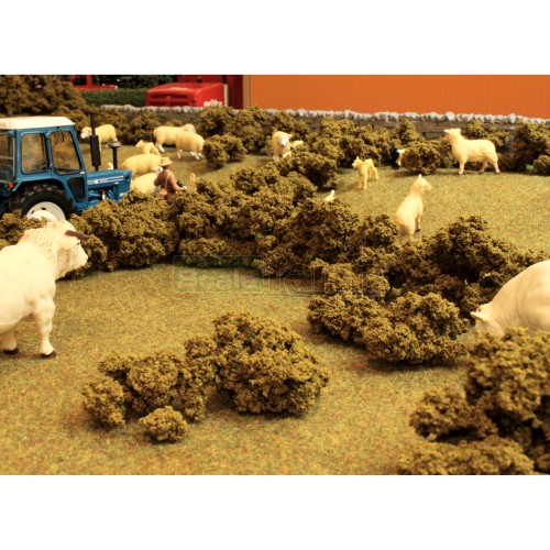 Hedge and Shrub Foliage