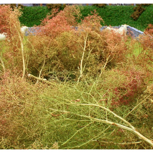 Sea Foam Trees (No Foliage Pack)