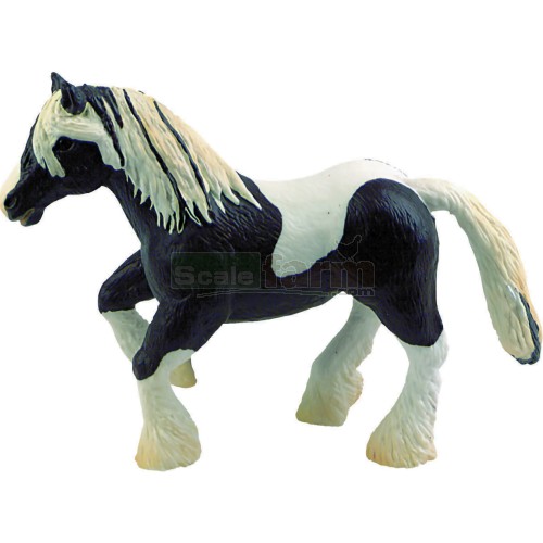 Tinker Horse Stallion