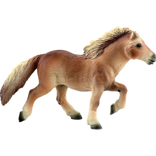 Icelandic Stallion