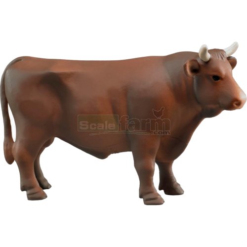 Bull - Brown