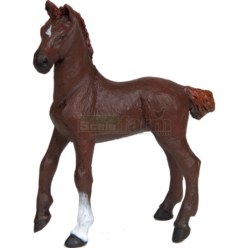 Alezan English Thoroughbred Foal, Dark