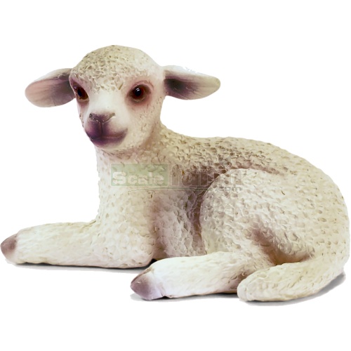 Lamb, lying
