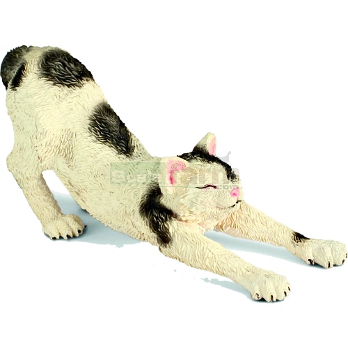 Male Cat, stretching