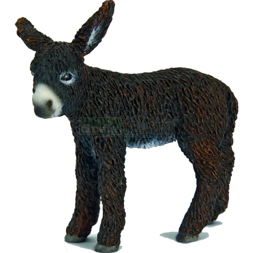 Poitou Donkey Foal
