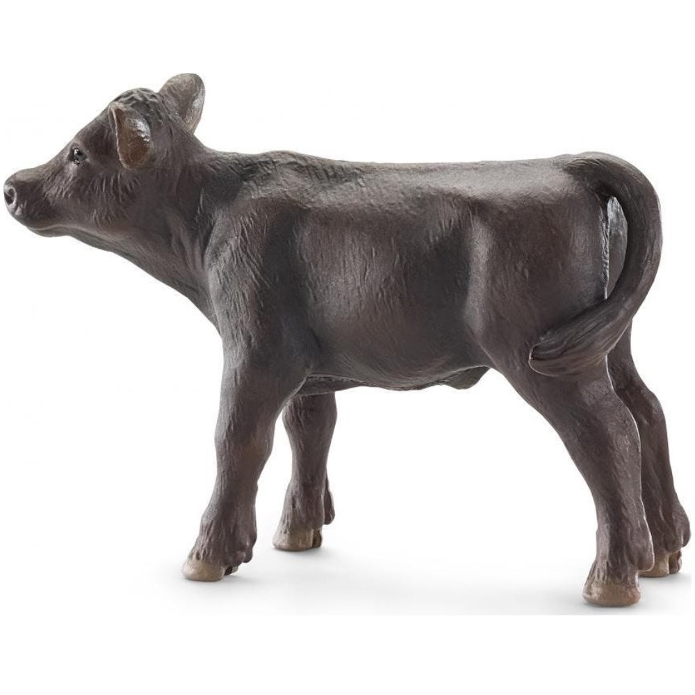 Black Angus Calf