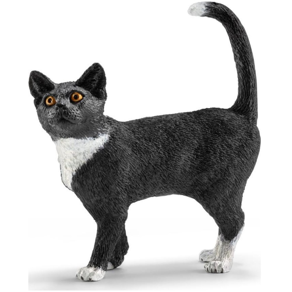 Cat, Standing