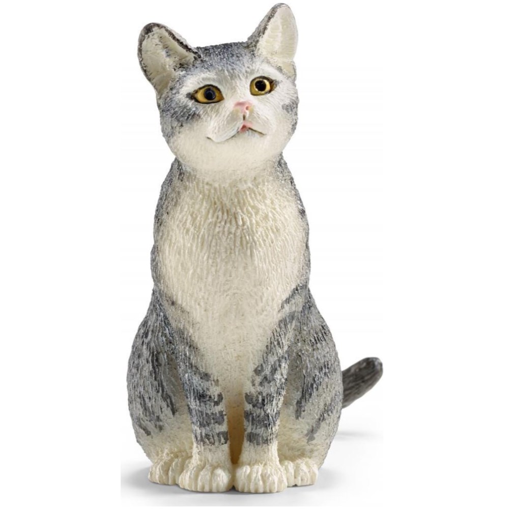 Cat, Sitting