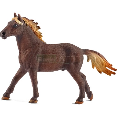 Mustang Stallion