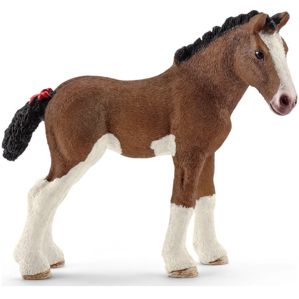 Clydesdale Foal