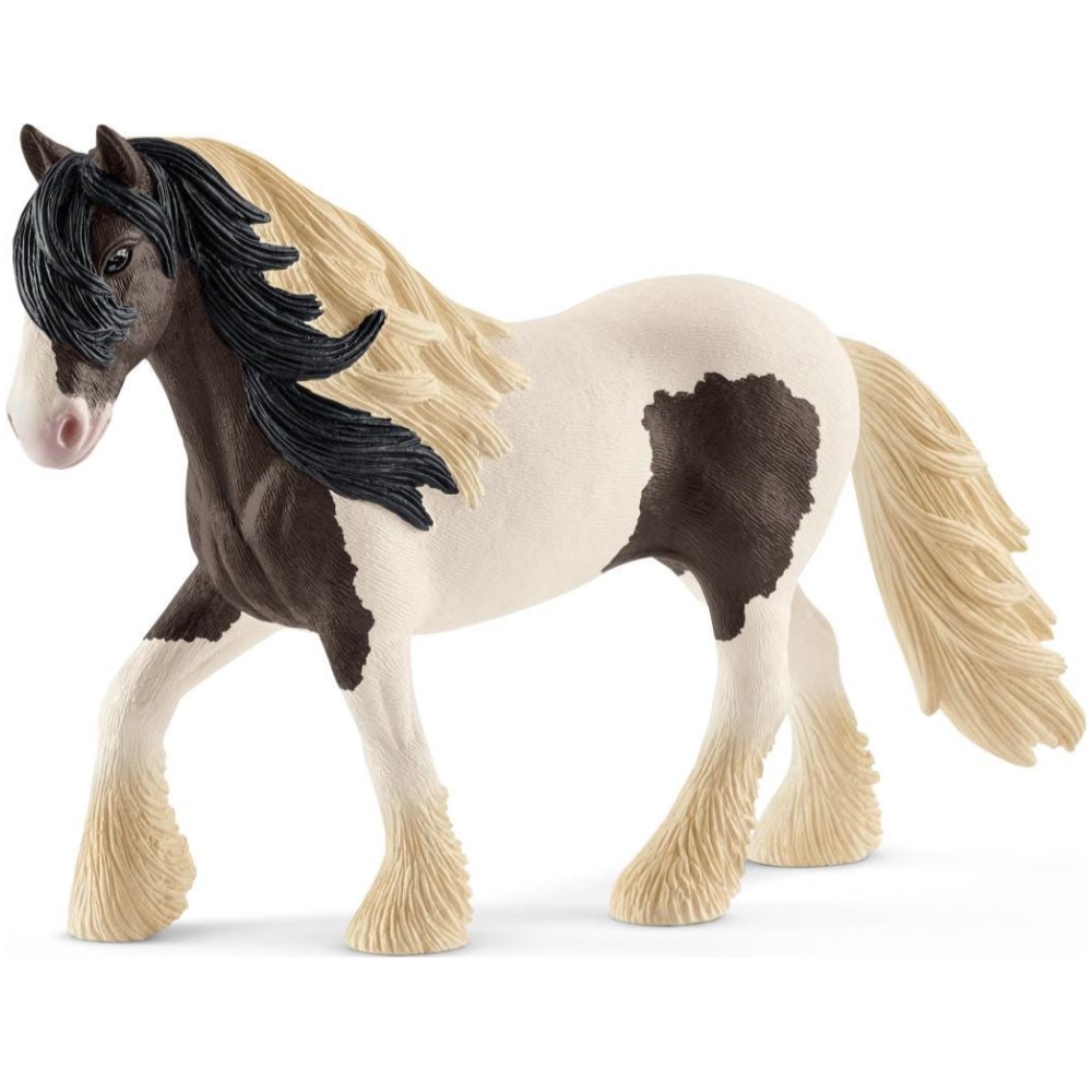 Tinker Stallion