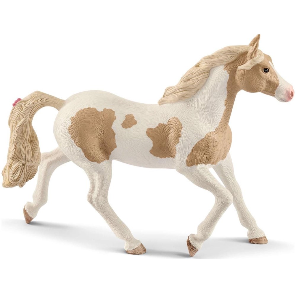 Paint horse Mare