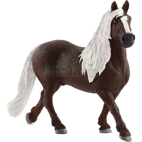 Black Forest Stallion