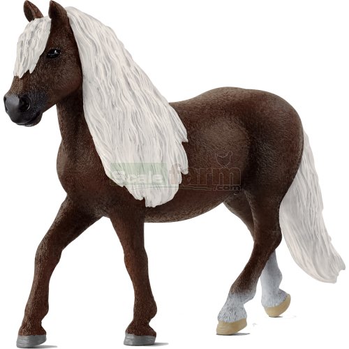 Black Forest Mare