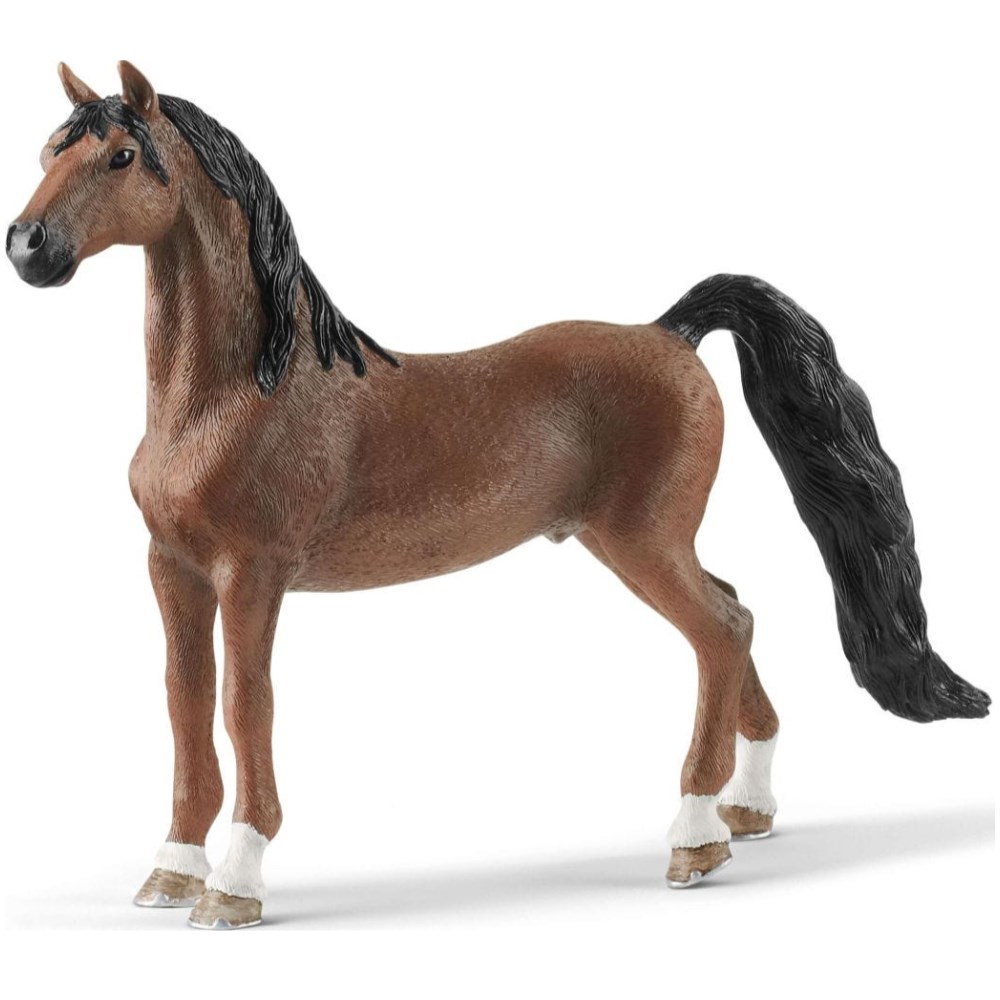 American Saddlebred Gelding