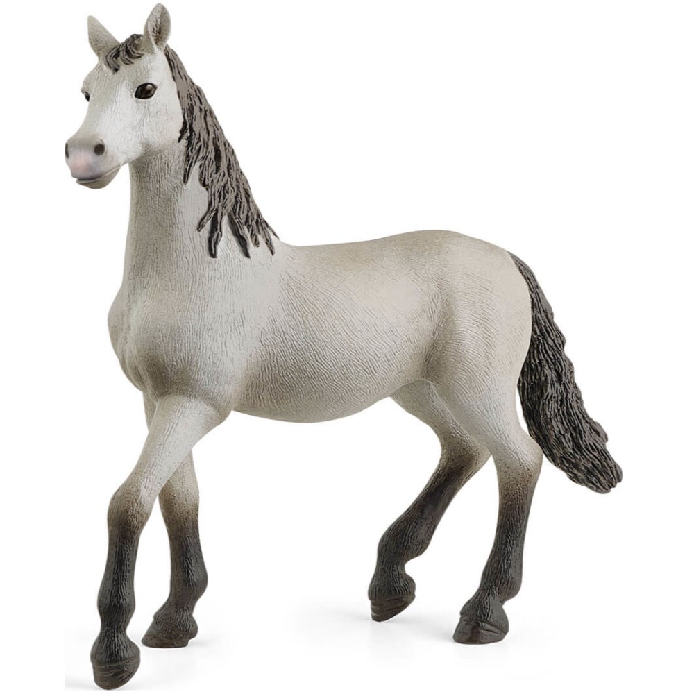Pura Raza Espanola Young Horse