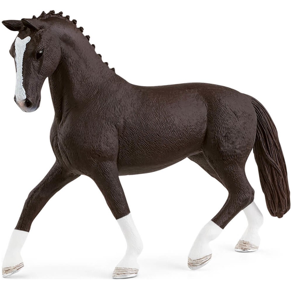 Hanoverian Mare - Black
