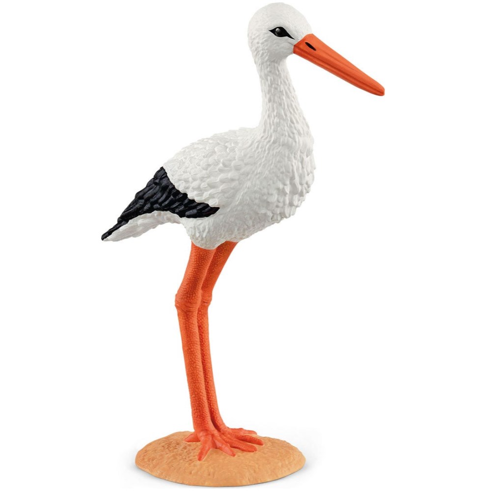 Stork