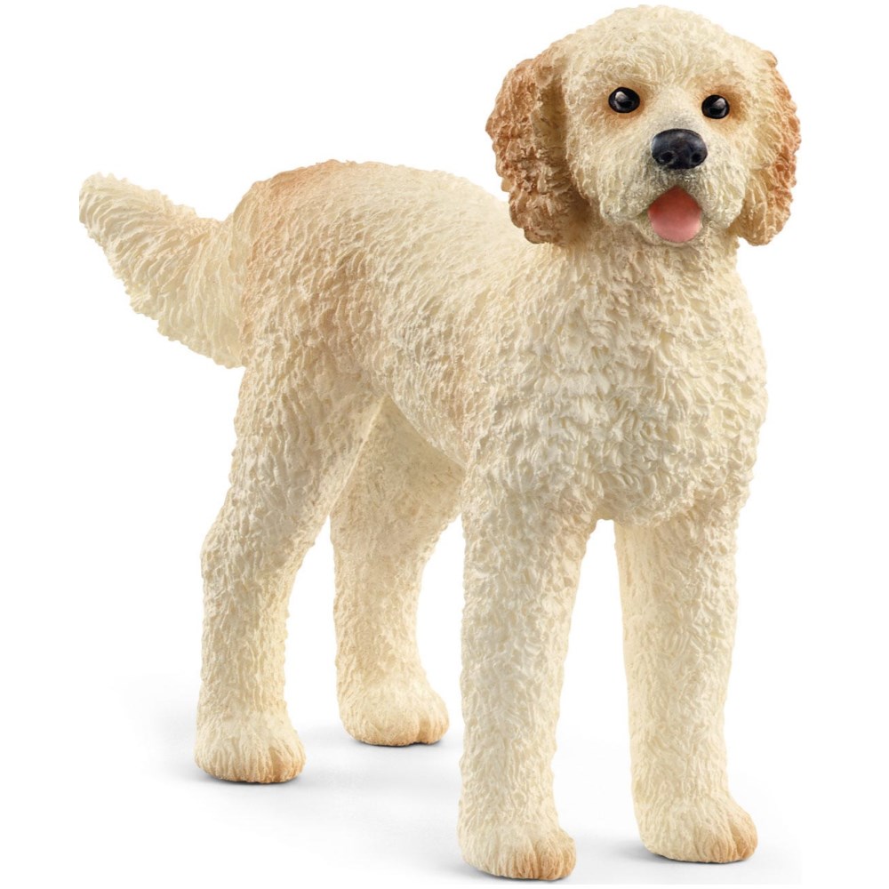 Goldendoodle