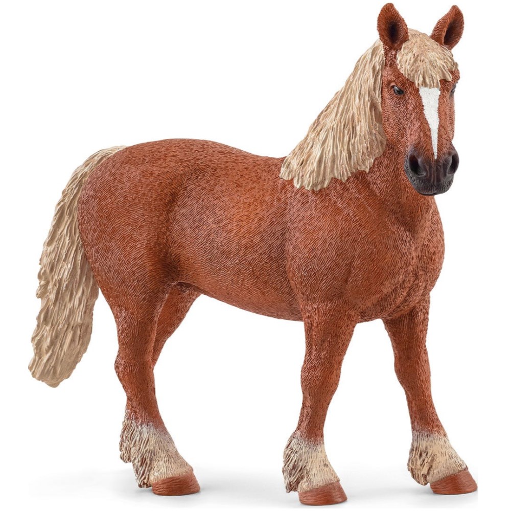 Belgian Draft Horse