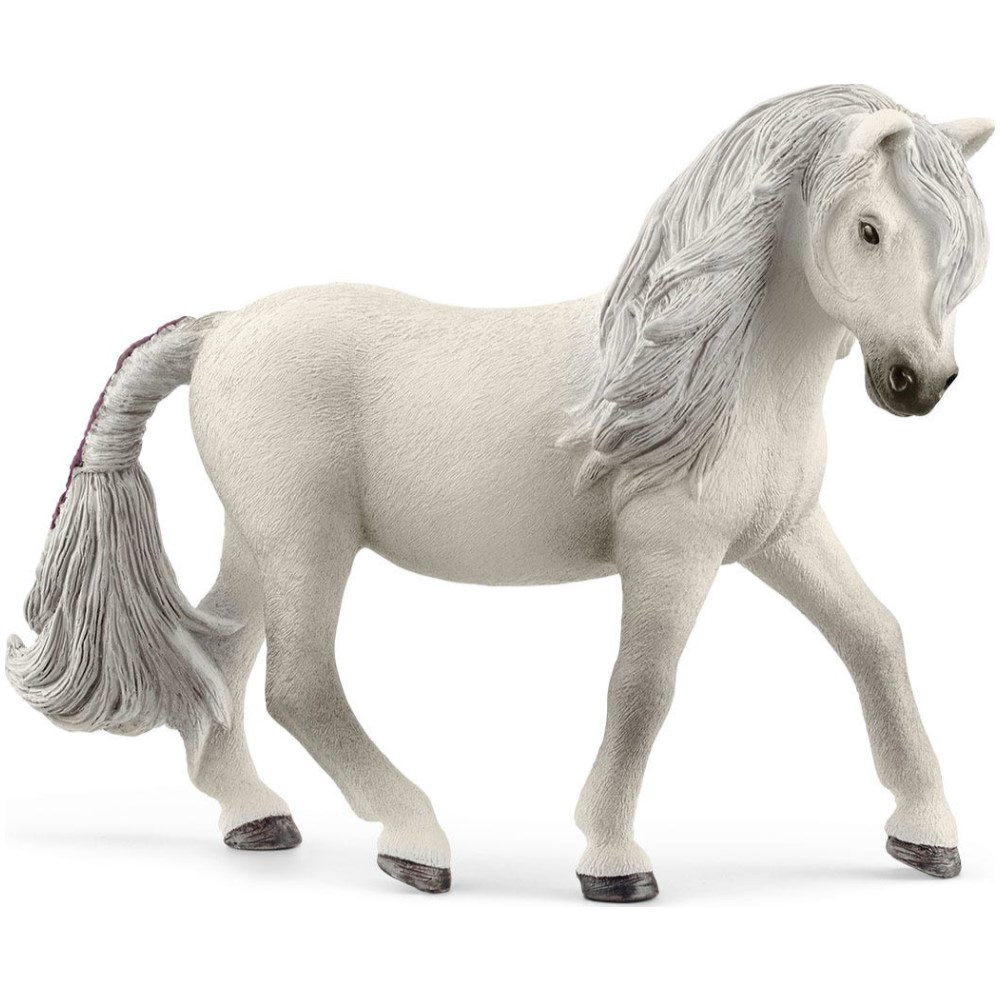 Island Pony Mare