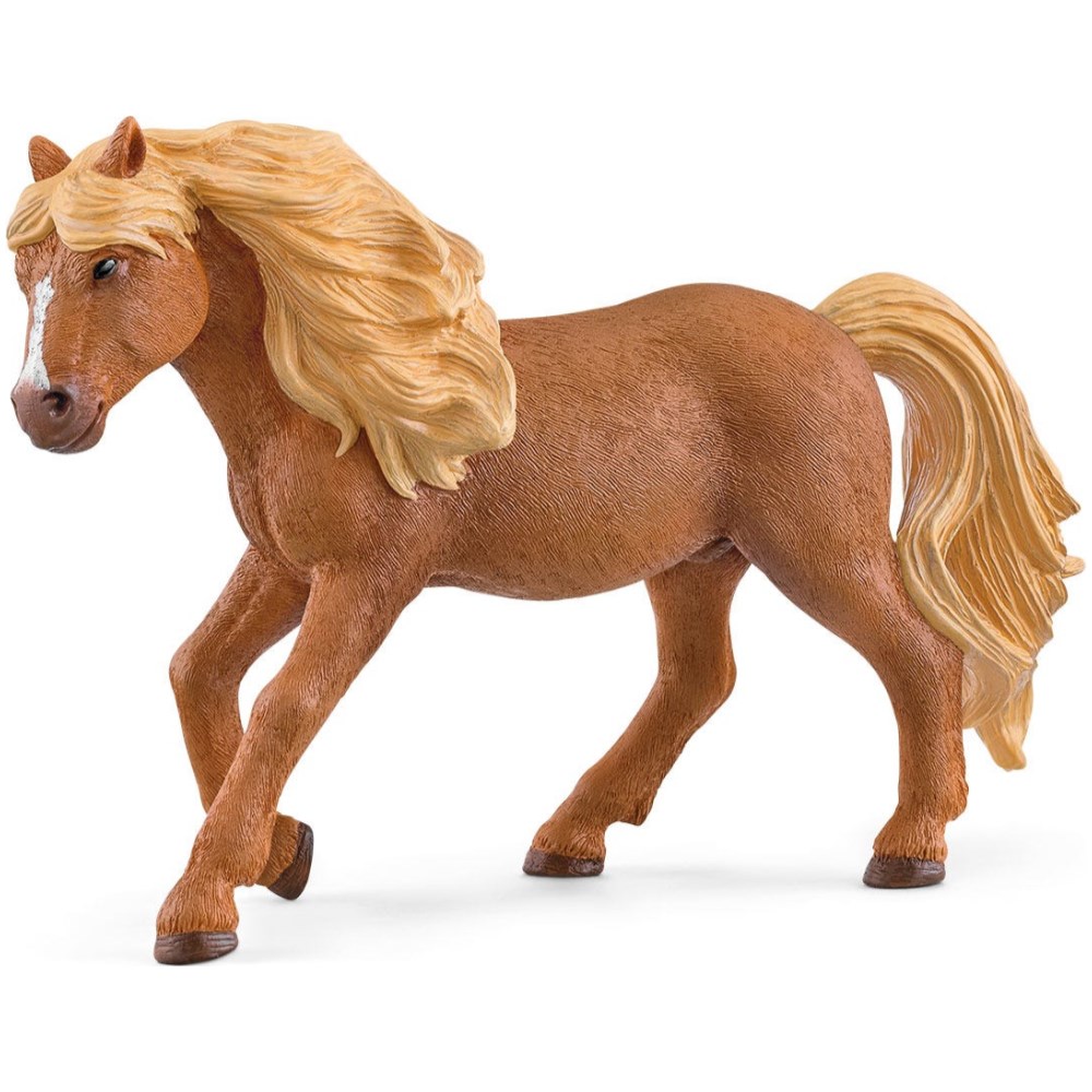 Island Pony Stallion