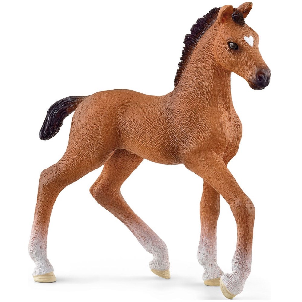 Oldenburger Foal