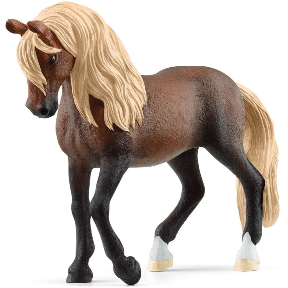 Paso Peruano Stallion