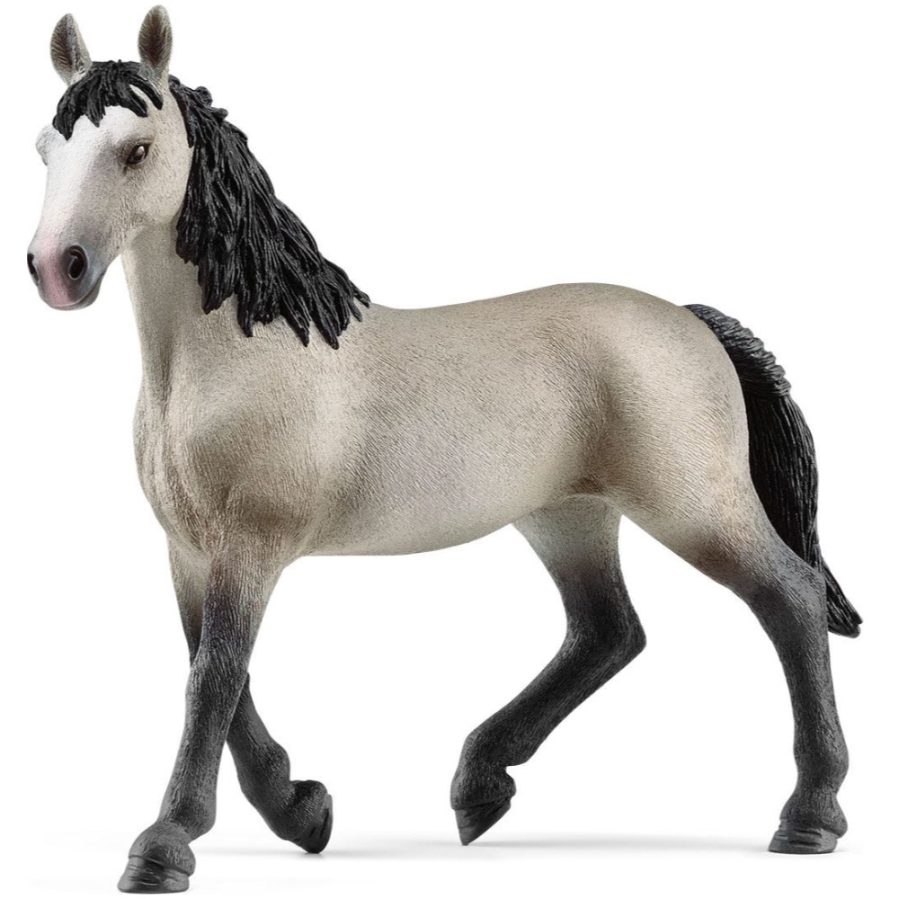 Cheval de Selle Francais Mare
