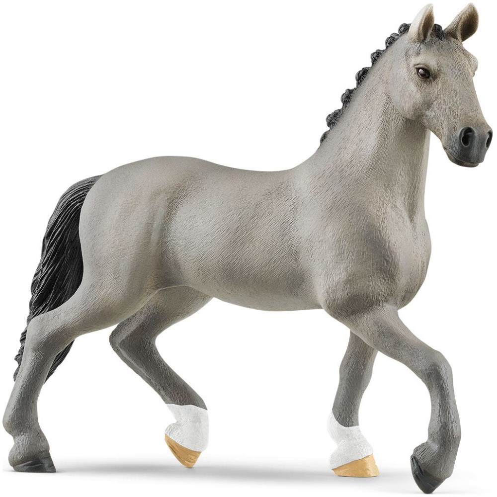Cheval de Selle Francais Stallion