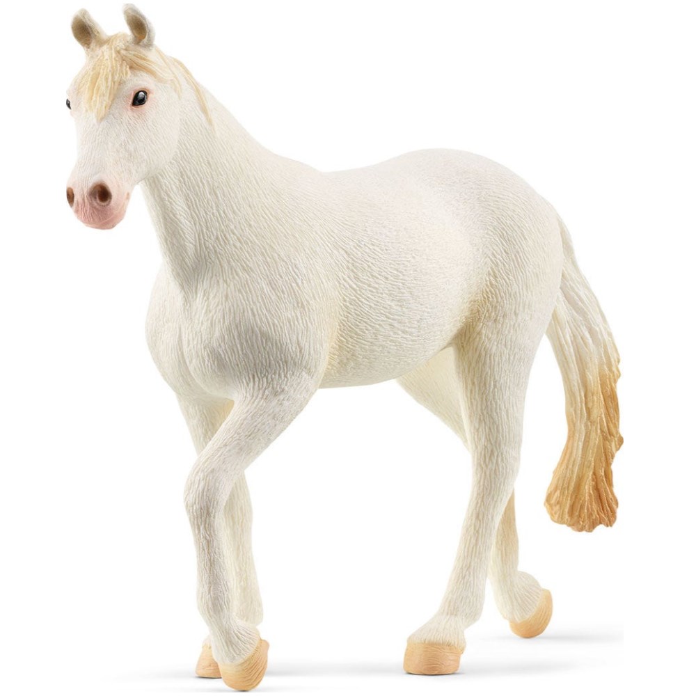 Camarillo Mare