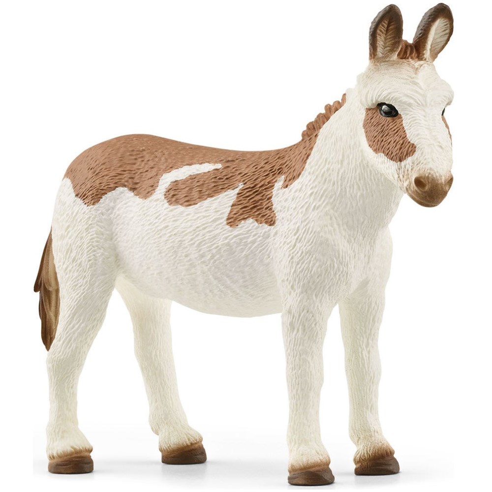 American Spotted Donkey