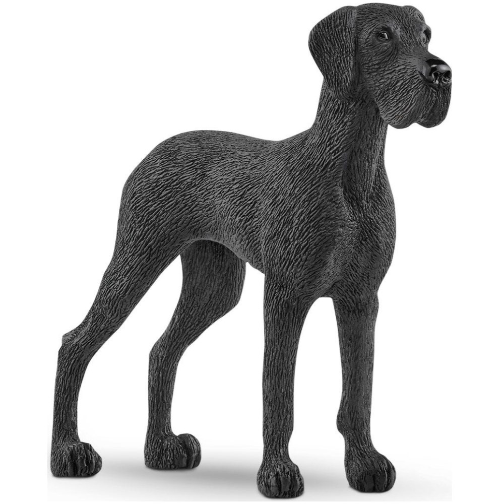 Great Dane