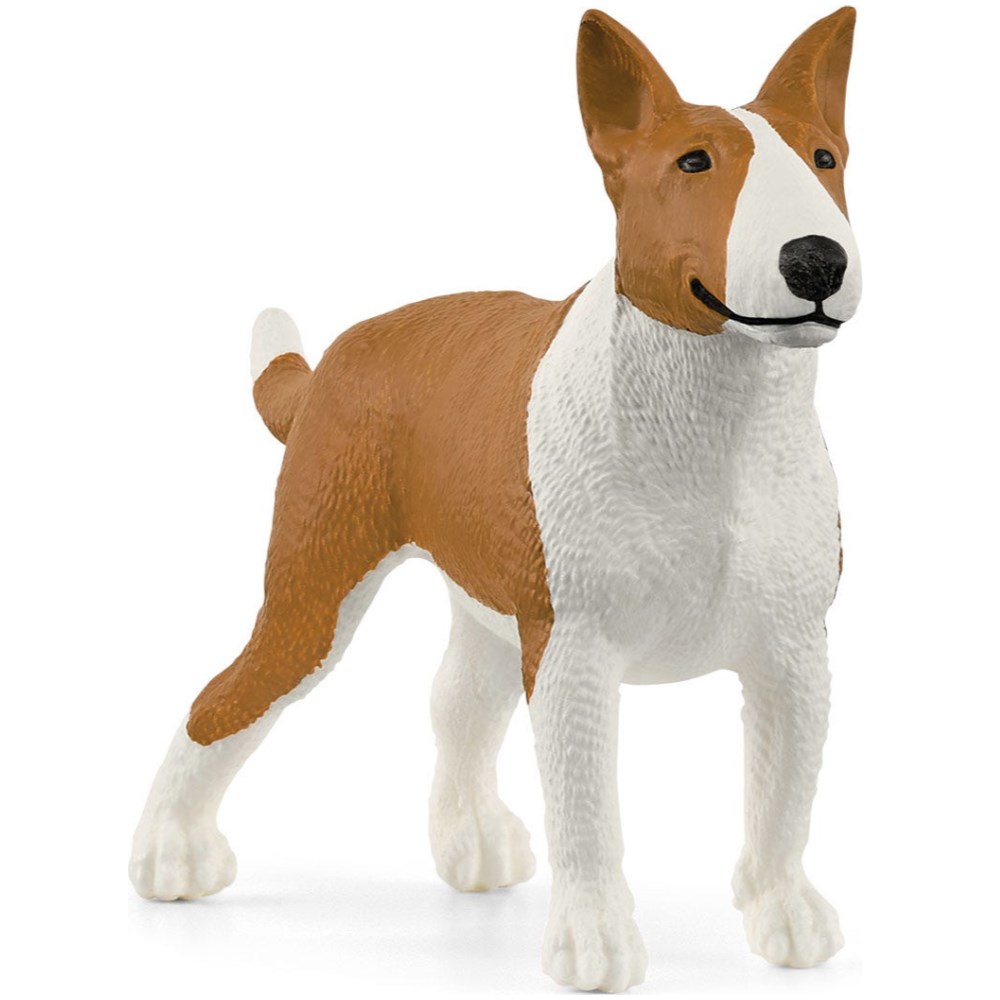 Bull Terrier