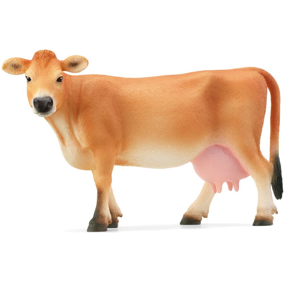 Jersey Cow