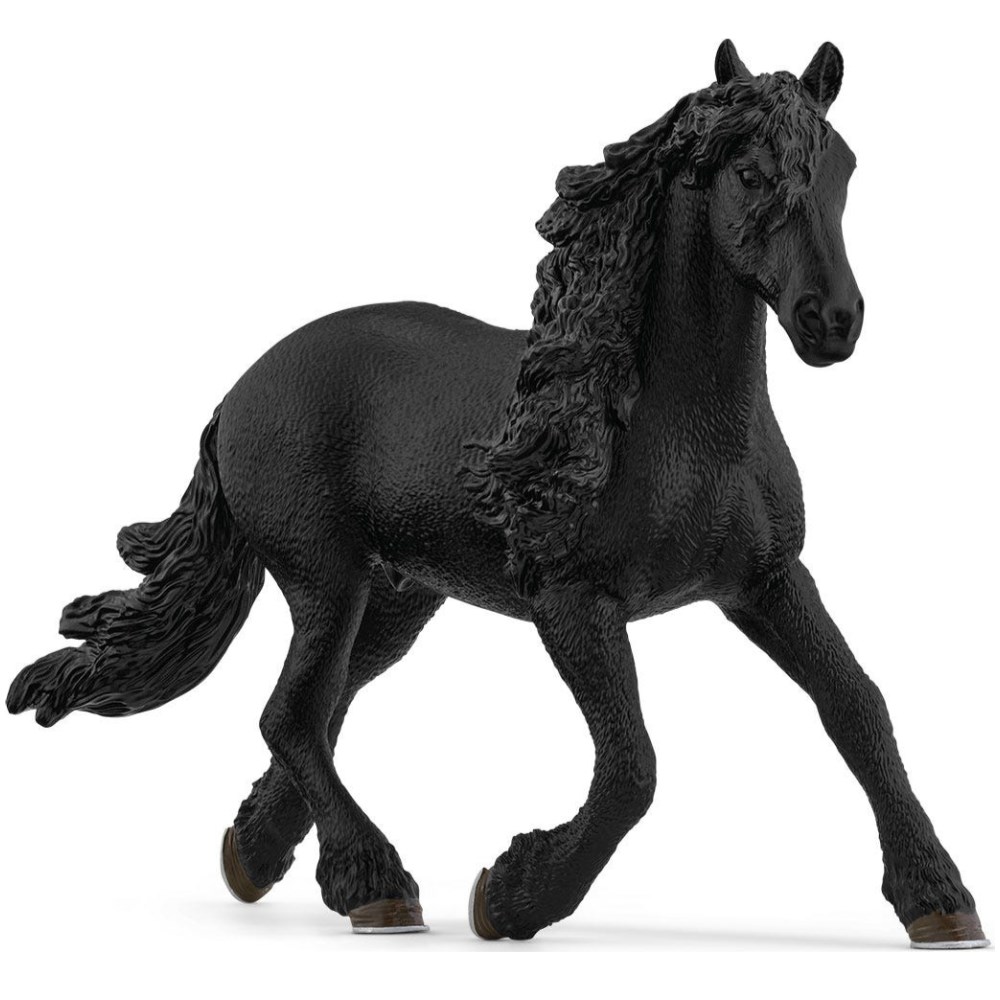 Friesian Stallion